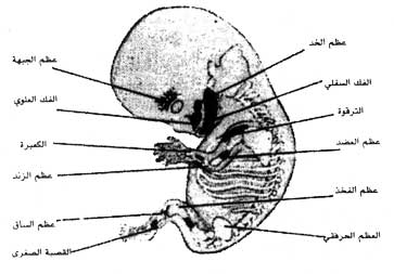 اضغط على الصورة لعرض أكبر. 

الإسم:	image.png 
مشاهدات:	50 
الحجم:	88.9 كيلوبايت 
الهوية:	812202