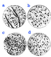 اضغط على الصورة لعرض أكبر. 

الإسم:	image.png 
مشاهدات:	76 
الحجم:	65.2 كيلوبايت 
الهوية:	817127