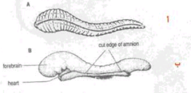 اضغط على الصورة لعرض أكبر. 

الإسم:	image.png 
مشاهدات:	60 
الحجم:	47.0 كيلوبايت 
الهوية:	828834