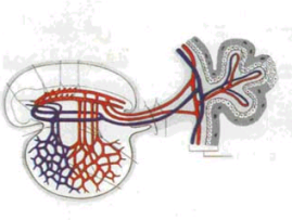 اضغط على الصورة لعرض أكبر. 

الإسم:	image.png 
مشاهدات:	83 
الحجم:	72.4 كيلوبايت 
الهوية:	828835