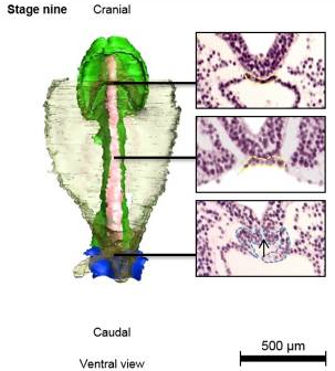 اضغط على الصورة لعرض أكبر. 

الإسم:	image.png 
مشاهدات:	84 
الحجم:	126.8 كيلوبايت 
الهوية:	828842