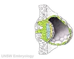 اضغط على الصورة لعرض أكبر. 

الإسم:	image.png 
مشاهدات:	84 
الحجم:	48.0 كيلوبايت 
الهوية:	828860