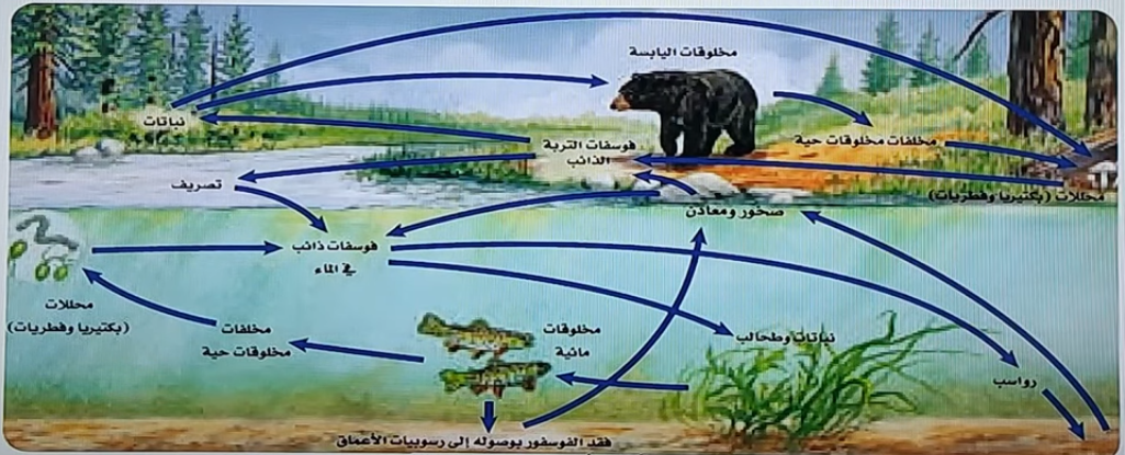 اضغط على الصورة لعرض أكبر. 

الإسم:	image.png 
مشاهدات:	6 
الحجم:	759.9 كيلوبايت 
الهوية:	837464