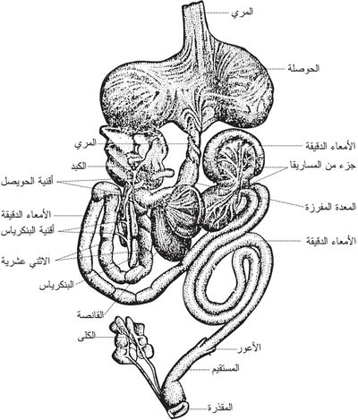 اضغط على الصورة لعرض أكبر. 

الإسم:	image.png 
مشاهدات:	7 
الحجم:	214.4 كيلوبايت 
الهوية:	837471