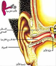 اضغط على الصورة لعرض أكبر.   الإسم:	image.png  مشاهدات:	0  الحجم:	74.9 كيلوبايت  الهوية:	837500