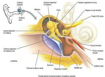 اضغط على الصورة لعرض أكبر. 

الإسم:	image.png 
مشاهدات:	5 
الحجم:	140.4 كيلوبايت 
الهوية:	837508