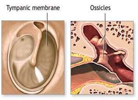 اضغط على الصورة لعرض أكبر. 

الإسم:	image.png 
مشاهدات:	5 
الحجم:	102.8 كيلوبايت 
الهوية:	837509