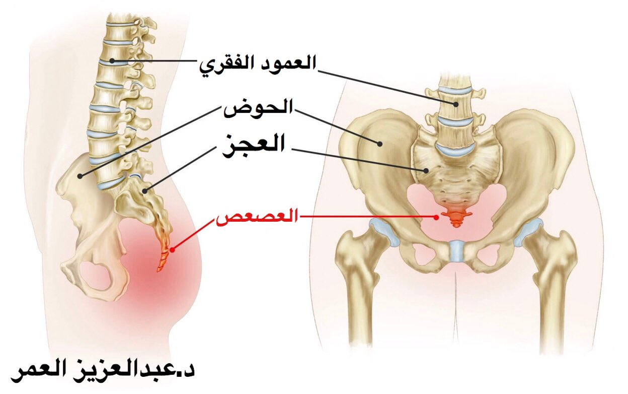 اضغط على الصورة لعرض أكبر.   الإسم:	image.png  مشاهدات:	3  الحجم:	680.5 كيلوبايت  الهوية:	837552