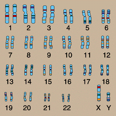 اضغط على الصورة لعرض أكبر.   الإسم:	image.png  مشاهدات:	2  الحجم:	71.1 كيلوبايت  الهوية:	837556