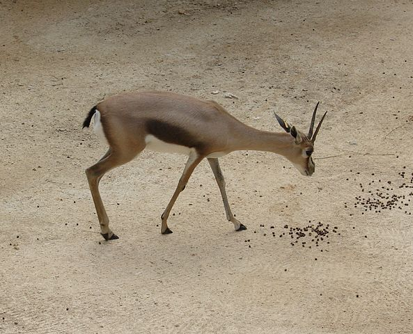 اضغط على الصورة لعرض أكبر. 

الإسم:	image.png 
مشاهدات:	7 
الحجم:	469.1 كيلوبايت 
الهوية:	837678