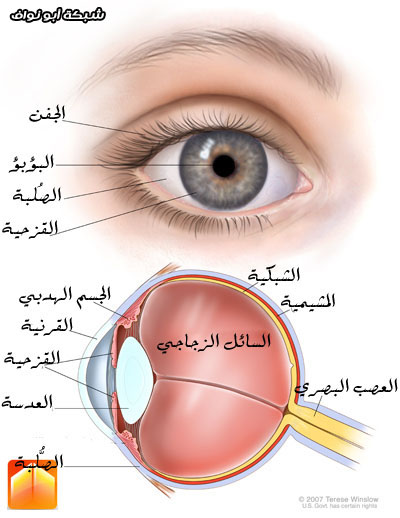 اضغط على الصورة لعرض أكبر.   الإسم:	image.png  مشاهدات:	0  الحجم:	234.6 كيلوبايت  الهوية:	837750