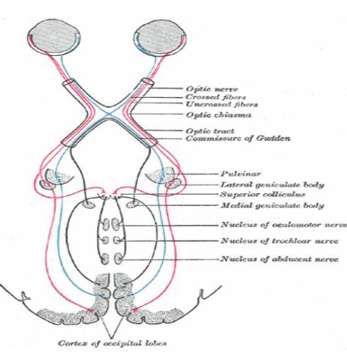 اضغط على الصورة لعرض أكبر.   الإسم:	image.png  مشاهدات:	3  الحجم:	204.5 كيلوبايت  الهوية:	837760