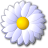 Flower058