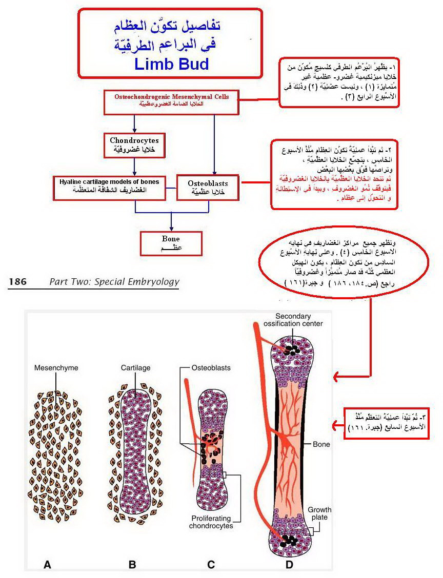 Click image for larger version  Name:	image.png Views:	29 Size:	913.5 KB ID:	805435