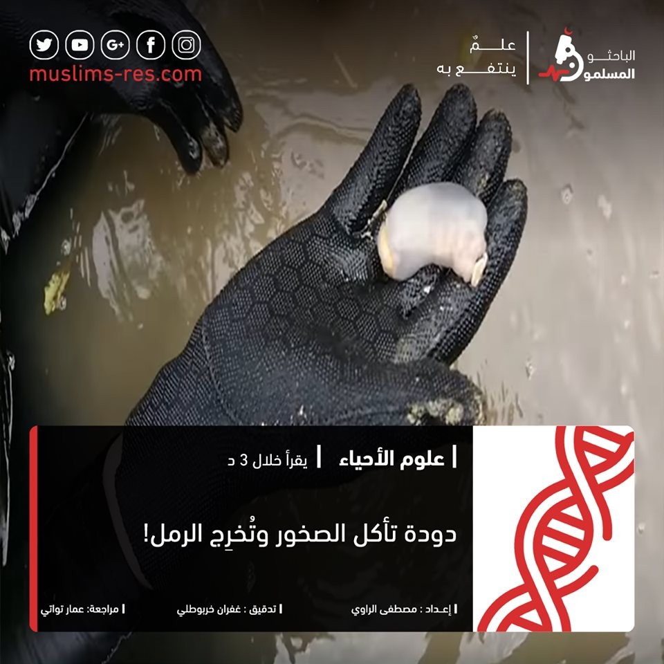 اضغط على الصورة لعرض أكبر. 

الإسم:	66681087_1304813639680487_9217822531086450688_n.jpg?_nc_cat=108&amp;_nc_oc=AQm0fS59ZHc_OB1S3nsg-p7_FxkIeVB_q_77M6-AZpHxb_BCCwFegJ4JZaPiulFRxRs&amp;_nc_ht=scontent-hbe1-1.xx&amp;oh=570615bcdd95fbc00872b725dccf998c&amp;oe=5DB5C908.jpg 
مشاهدات:	163 
الحجم:	146.5 كيلوبايت 
الهوية:	807636