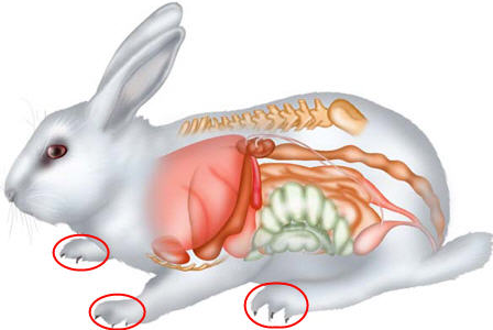 اضغط على الصورة لعرض أكبر. 

الإسم:	image.png 
مشاهدات:	505 
الحجم:	136.0 كيلوبايت 
الهوية:	811045