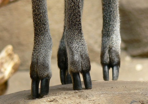 اضغط على الصورة لعرض أكبر. 

الإسم:	image.png 
مشاهدات:	305 
الحجم:	384.6 كيلوبايت 
الهوية:	811047