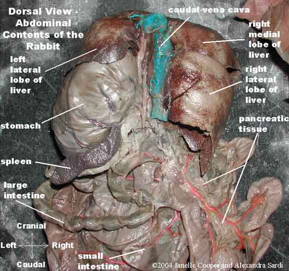 اضغط على الصورة لعرض أكبر. 

الإسم:	image.png 
مشاهدات:	324 
الحجم:	552.5 كيلوبايت 
الهوية:	811050