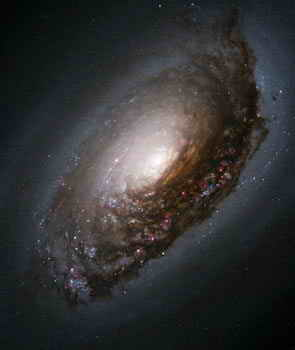 اضغط على الصورة لعرض أكبر. 

الإسم:	image.png 
مشاهدات:	312 
الحجم:	72.7 كيلوبايت 
الهوية:	811971