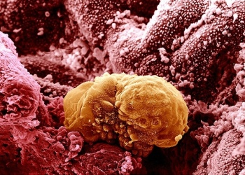 اضغط على الصورة لعرض أكبر.   الإسم:	image.png  مشاهدات:	11  الحجم:	233.7 كيلوبايت  الهوية:	812177