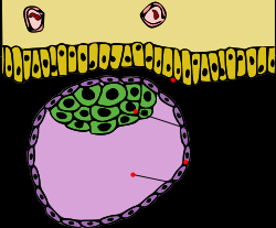 اضغط على الصورة لعرض أكبر. 

الإسم:	image_6534.png 
مشاهدات:	51 
الحجم:	31.7 كيلوبايت 
الهوية:	812185