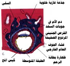اضغط على الصورة لعرض أكبر.   الإسم:	image.png  مشاهدات:	7  الحجم:	75.1 كيلوبايت  الهوية:	812192