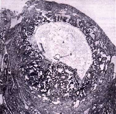 اضغط على الصورة لعرض أكبر. 

الإسم:	image.png 
مشاهدات:	68 
الحجم:	288.5 كيلوبايت 
الهوية:	812194