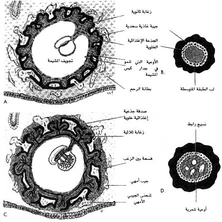 اضغط على الصورة لعرض أكبر. 

الإسم:	image.png 
مشاهدات:	52 
الحجم:	248.0 كيلوبايت 
الهوية:	812197