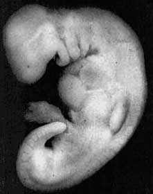 اضغط على الصورة لعرض أكبر. 

الإسم:	image.png 
مشاهدات:	53 
الحجم:	51.5 كيلوبايت 
الهوية:	812200