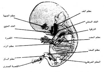 اضغط على الصورة لعرض أكبر. 

الإسم:	image.png 
مشاهدات:	74 
الحجم:	88.9 كيلوبايت 
الهوية:	812202