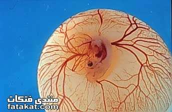 اضغط على الصورة لعرض أكبر. 

الإسم:	image.png 
مشاهدات:	61 
الحجم:	145.8 كيلوبايت 
الهوية:	812223