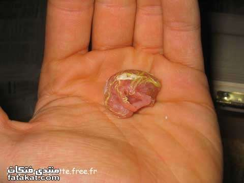 اضغط على الصورة لعرض أكبر. 

الإسم:	image.png 
مشاهدات:	64 
الحجم:	168.0 كيلوبايت 
الهوية:	812229