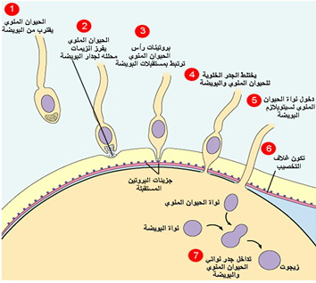 اضغط على الصورة لعرض أكبر.   الإسم:	image.png  مشاهدات:	16  الحجم:	125.1 كيلوبايت  الهوية:	812255