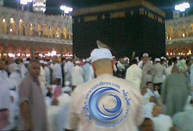 اضغط على الصورة لعرض أكبر. 

الإسم:	image.png 
مشاهدات:	48 
الحجم:	447.2 كيلوبايت 
الهوية:	813284