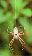 اضغط على الصورة لعرض أكبر. 

الإسم:	image.png 
مشاهدات:	278 
الحجم:	38.3 كيلوبايت 
الهوية:	813813