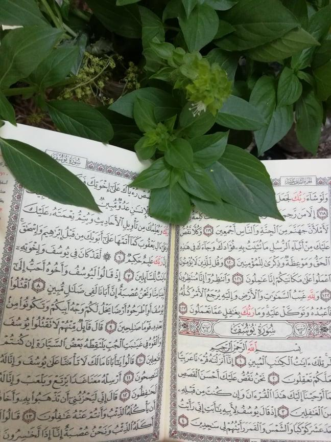 اضغط على الصورة لعرض أكبر. 

الإسم:	image.png 
مشاهدات:	975 
الحجم:	884.8 كيلوبايت 
الهوية:	814492