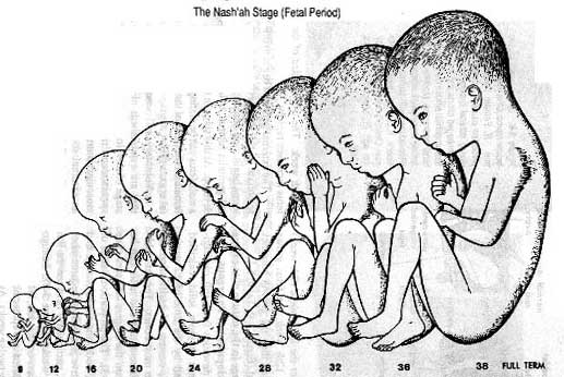اضغط على الصورة لعرض أكبر. 

الإسم:	image.png 
مشاهدات:	71 
الحجم:	257.5 كيلوبايت 
الهوية:	817135