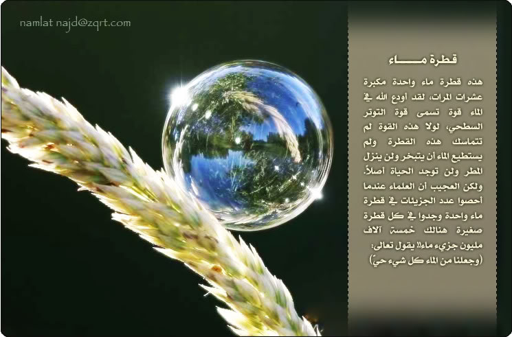 اضغط على الصورة لعرض أكبر. 

الإسم:	image.png 
مشاهدات:	67 
الحجم:	374.4 كيلوبايت 
الهوية:	817220