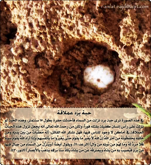 اضغط على الصورة لعرض أكبر. 

الإسم:	image.png 
مشاهدات:	42 
الحجم:	651.8 كيلوبايت 
الهوية:	817219
