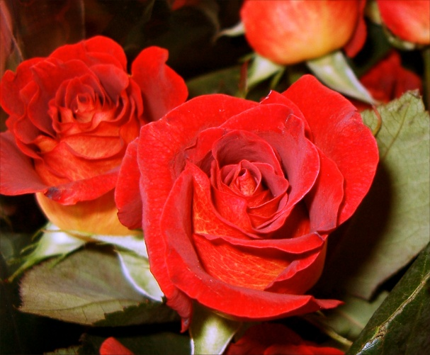 اضغط على الصورة لعرض أكبر. 

الإسم:	image.png 
مشاهدات:	45 
الحجم:	498.7 كيلوبايت 
الهوية:	817743