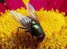 اضغط على الصورة لعرض أكبر. 

الإسم:	image.png 
مشاهدات:	161 
الحجم:	32.6 كيلوبايت 
الهوية:	817749