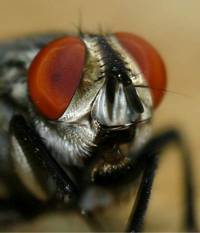اضغط على الصورة لعرض أكبر. 

الإسم:	image.png 
مشاهدات:	181 
الحجم:	204.3 كيلوبايت 
الهوية:	817750
