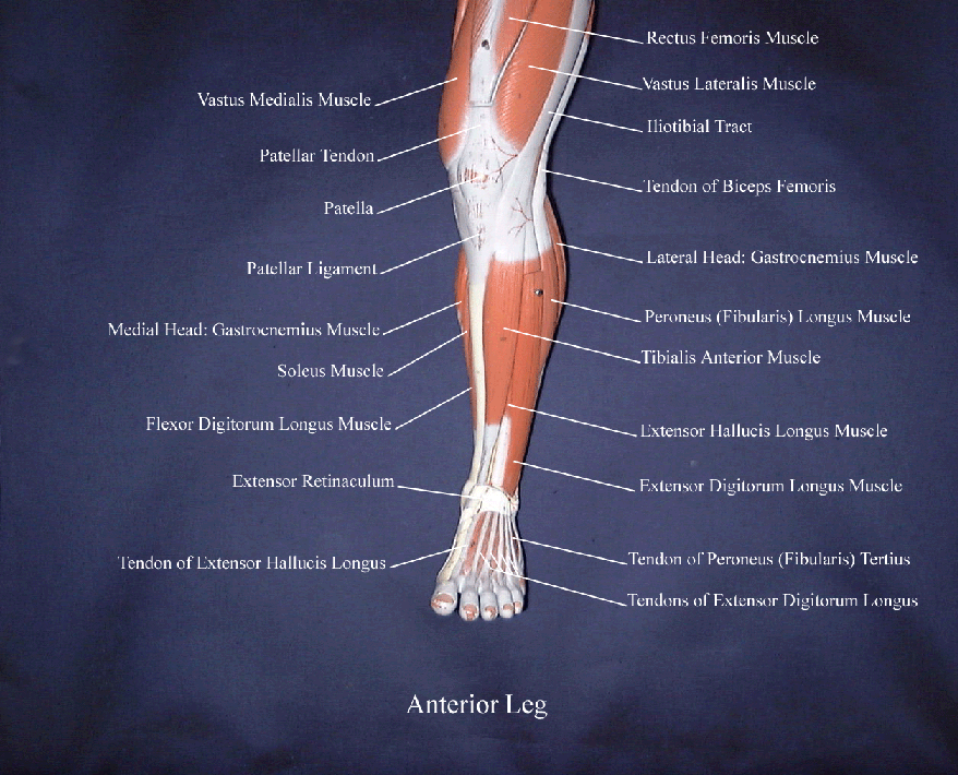اضغط على الصورة لعرض أكبر.   الإسم:	image_9435.png  مشاهدات:	111  الحجم:	645.2 كيلوبايت  الهوية:	818241