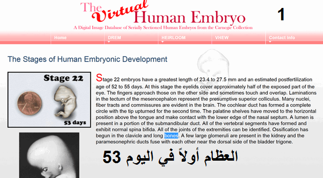 اضغط على الصورة لعرض أكبر.   الإسم:	1.png  مشاهدات:	12  الحجم:	171.4 كيلوبايت  الهوية:	819735