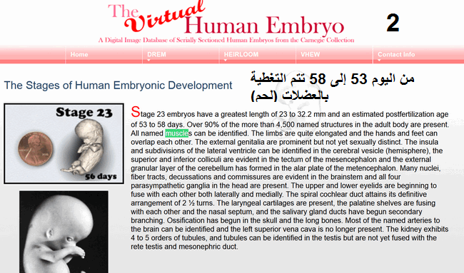 اضغط على الصورة لعرض أكبر.   الإسم:	2.png  مشاهدات:	6  الحجم:	222.1 كيلوبايت  الهوية:	819736