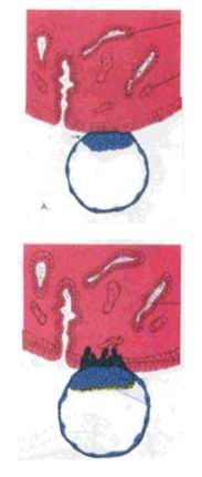 اضغط على الصورة لعرض أكبر. 

الإسم:	image.png 
مشاهدات:	67 
الحجم:	95.4 كيلوبايت 
الهوية:	826701