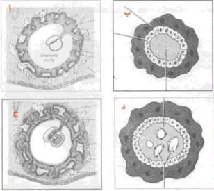 اضغط على الصورة لعرض أكبر. 

الإسم:	image.png 
مشاهدات:	65 
الحجم:	87.4 كيلوبايت 
الهوية:	826702