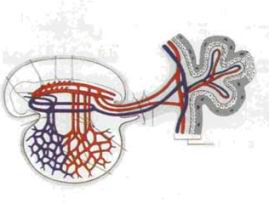 اضغط على الصورة لعرض أكبر. 

الإسم:	image.png 
مشاهدات:	66 
الحجم:	66.0 كيلوبايت 
الهوية:	826703
