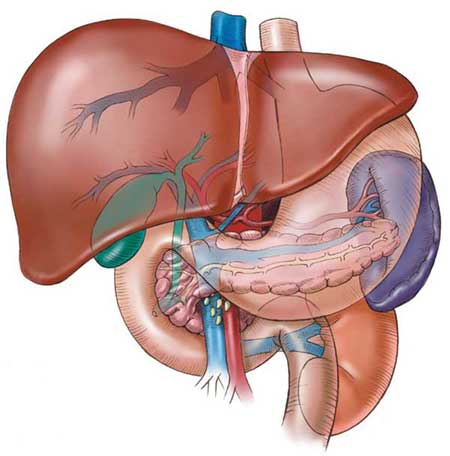 اضغط على الصورة لعرض أكبر. 

الإسم:	image.png 
مشاهدات:	42 
الحجم:	255.7 كيلوبايت 
الهوية:	828876