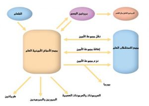 اضغط على الصورة لعرض أكبر. 

الإسم:	image.png 
مشاهدات:	41 
الحجم:	55.7 كيلوبايت 
الهوية:	828877